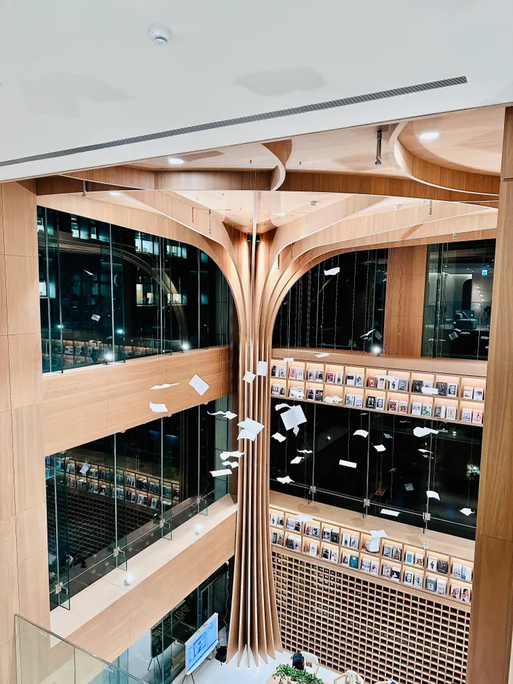 挑高三層樓的知識樹