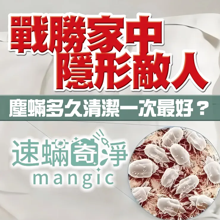 新北除螨推薦.台北除螨推薦.除塵螨推薦.塵螨多久除一次