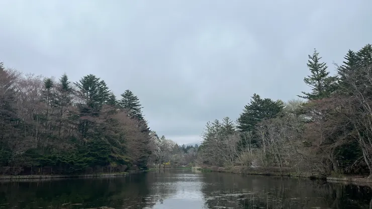 漫步其中很是愜意。