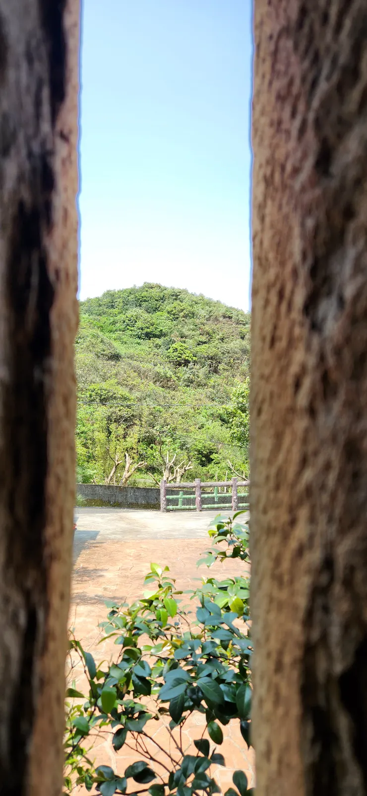 從老家望出去的風景，應該跟父親小時候看到的是一樣的吧。