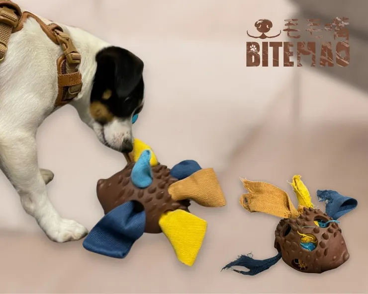 刺蝟寶箱藏食玩具