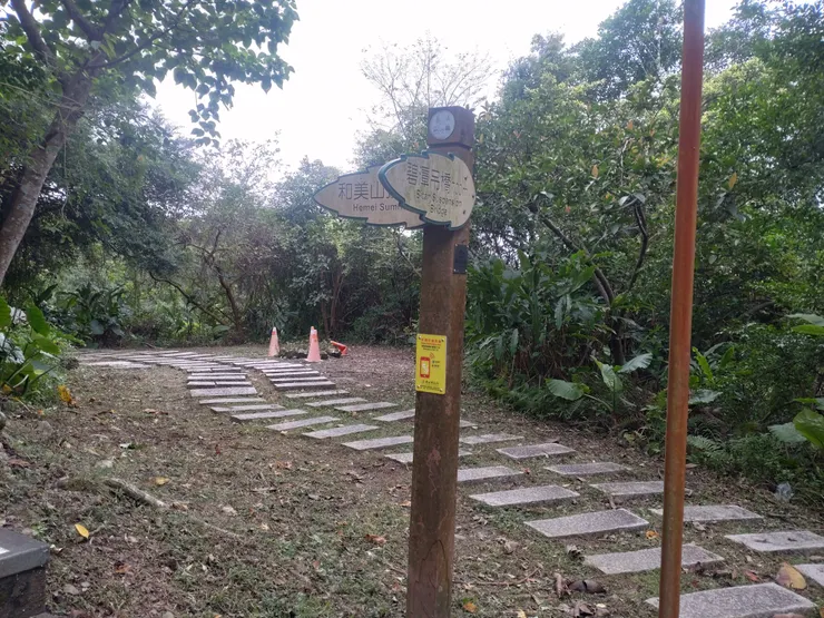 去山頂還是回吊橋