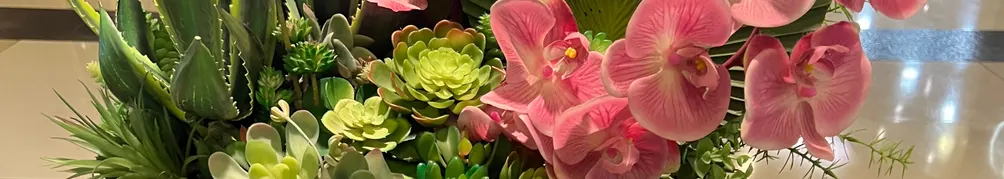 出嫁蟲夫的沙龍