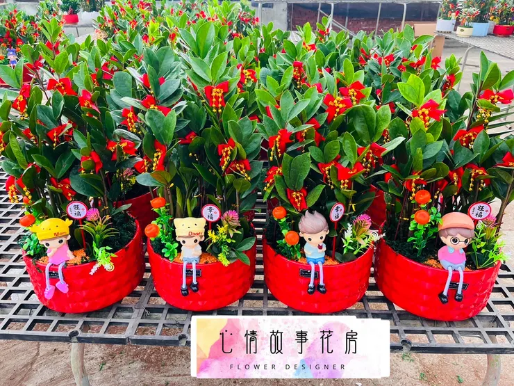 台南人推薦的開工植物盆栽！企業、銀行、醫院愛用，招財又大器！