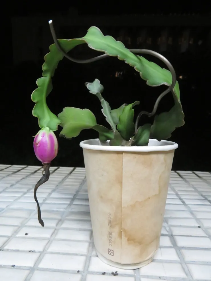 內湖社大109.09.28