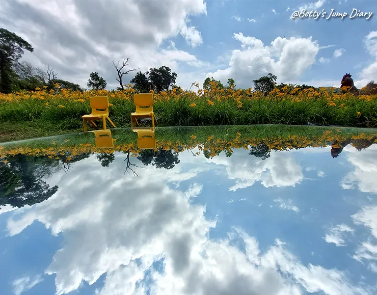 ▲2025花現台七「桃園繡球金針農遊趣」/ 圖片來源：Betty's Jump Diary