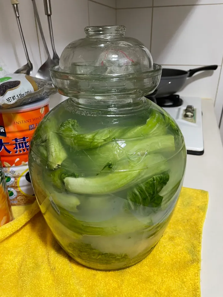 開水與養樂多淹過芥菜既可