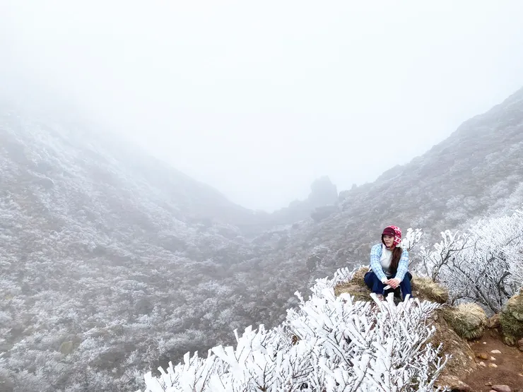 日本大分-由布岳 || 分岔口(マタエ)
