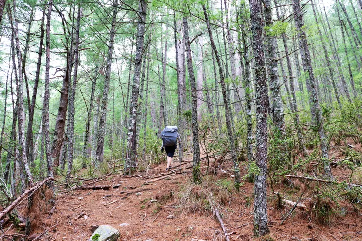 ▲由此改為山徑，要翻越一處稜線至南湖溪。