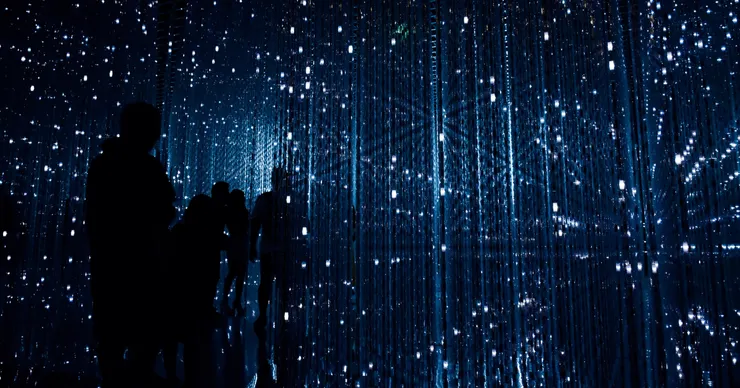 Photo by Robynne Hu on Unsplash