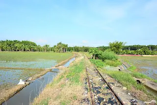 往烏樹林方向拍攝(7372)