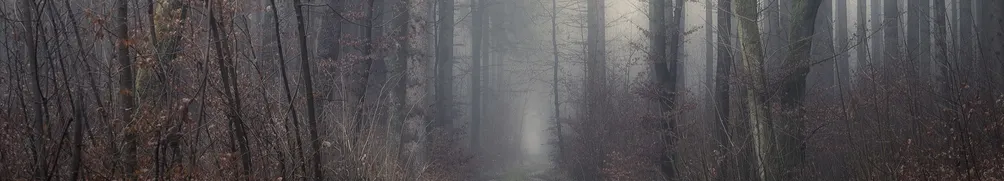 violee談心說書的沙龍