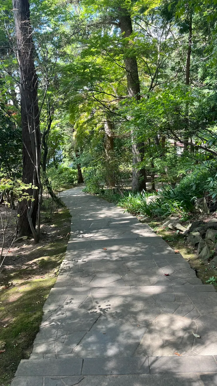 少了太陽，走起來相當舒服。