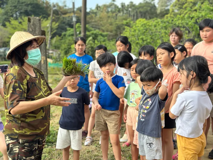 老師和我們介紹秧苗的形成