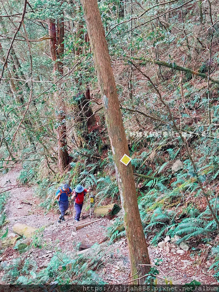 【谷關健行/住宿】谷關七雄老大。海拔2366公尺八仙山主峰。