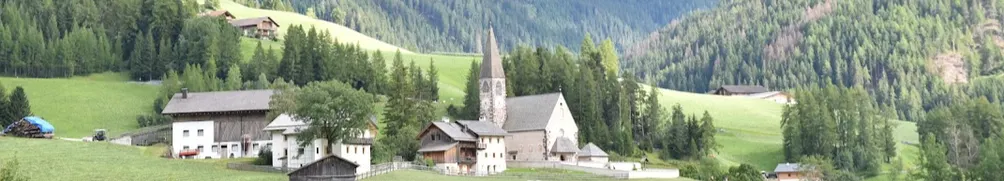 藍色胖海象的沙龍