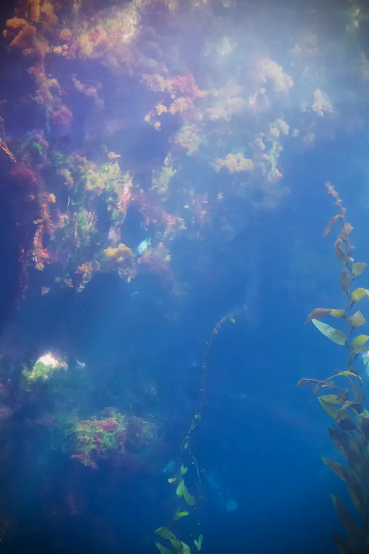 光影與水缸，宛如一幅油畫。