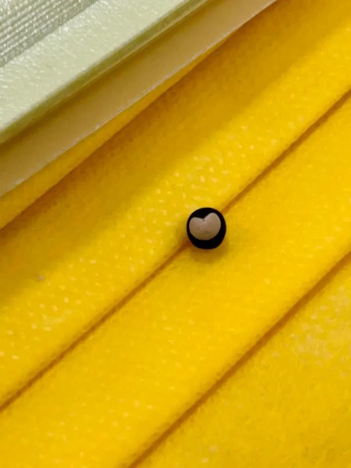 圖12 第一次登場當紀錄員的美好禮物