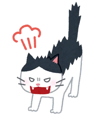 生氣有如炸毛貓