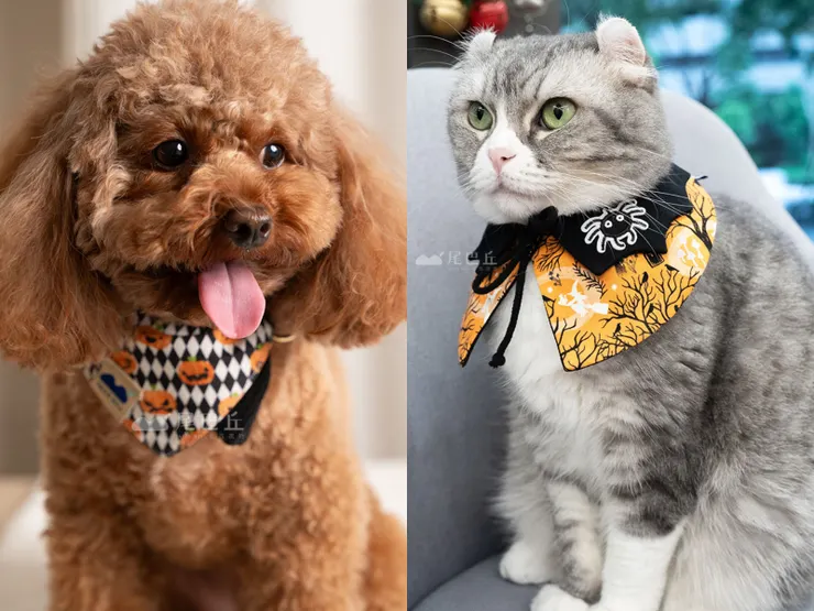 圖說：萬聖節毛孩扮裝，超前部署才是王道！尾巴丘3款領巾新品，寵物展開放預購，另外還有「獨家隱藏款」只在展場曝光。（資料來源：尾巴丘）