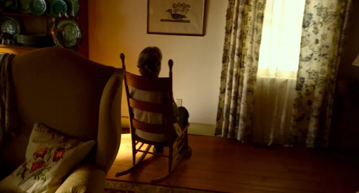 54.《探訪》（The Visit，2015）🇺🇸