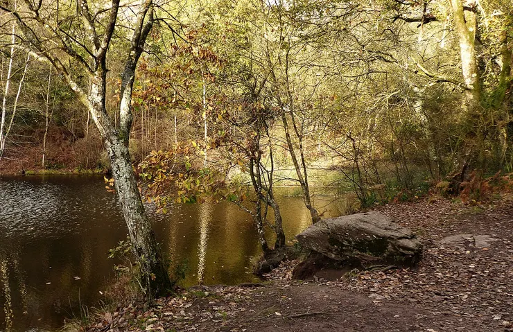 位於潘蓬森林的「不歸谷」。
