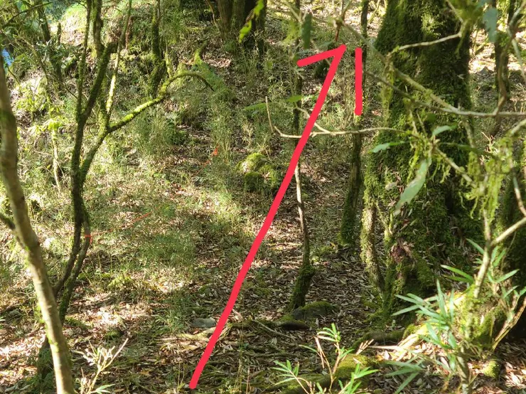 直行,左有紅色封鎖線