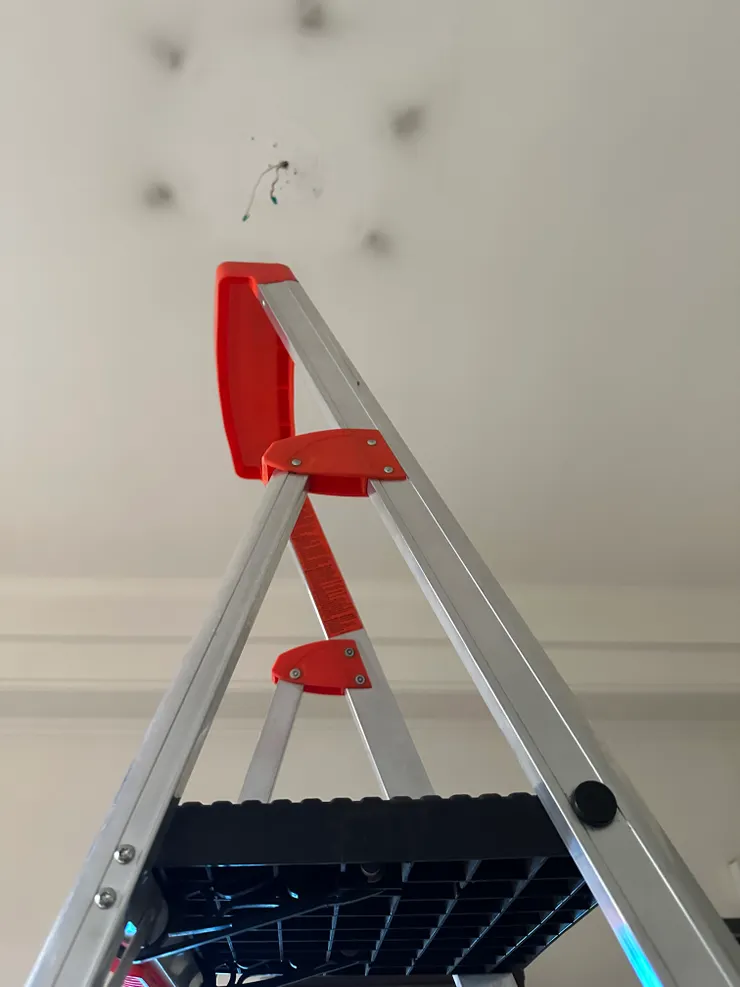 這種有高階平台樓梯比較安全好用;尤其我喜歡自己擦油漆