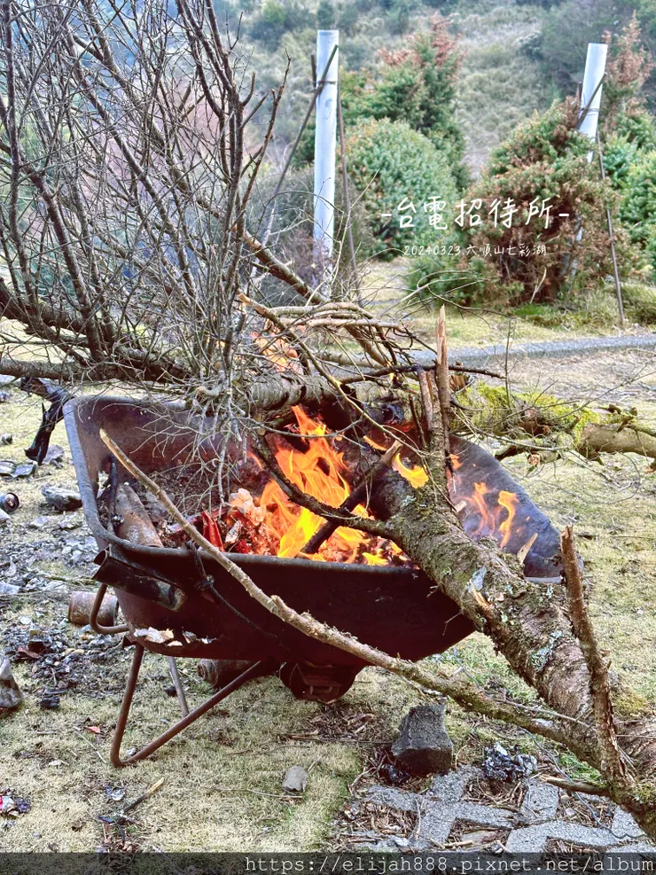 【丹大林道.六順山.七彩湖】六順山.海拔3009公尺/波波草