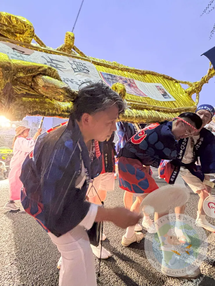 金色的中型草鞋約由4-6人組成