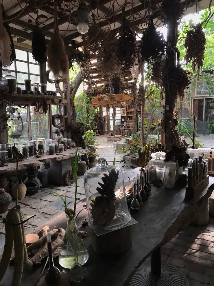 圖片來源:千畦種籽舘