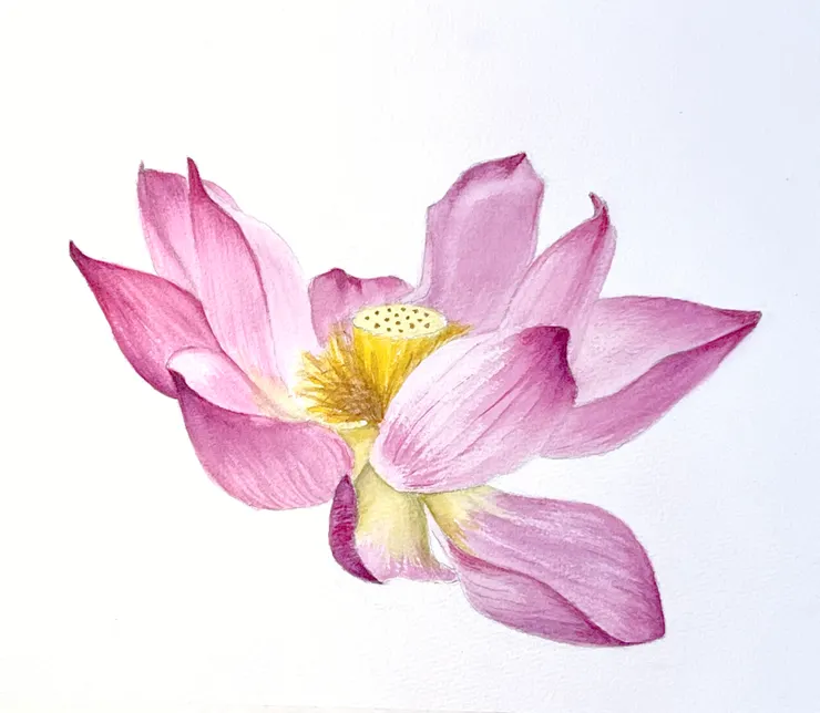 YH.CC@水彩練習W70 (構圖參考網路攝影)