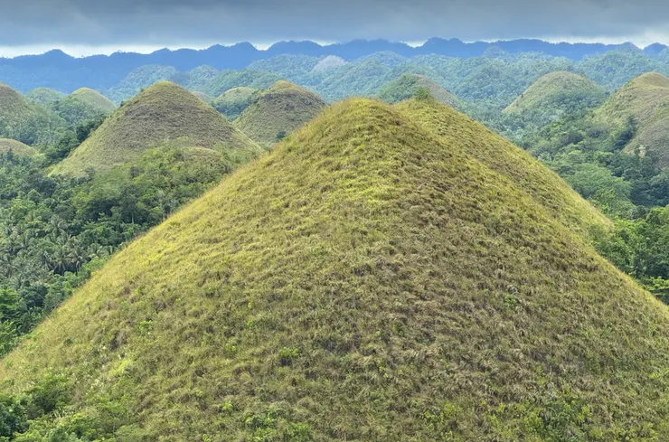 秋天的時候樹葉會變成金色,明信片風景。