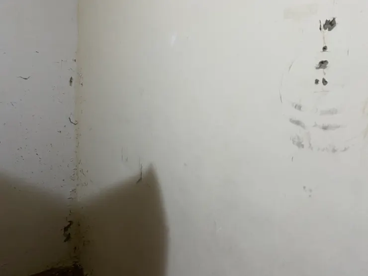 此處壁癌來源為大樓外牆的延伸牆,須重做防水