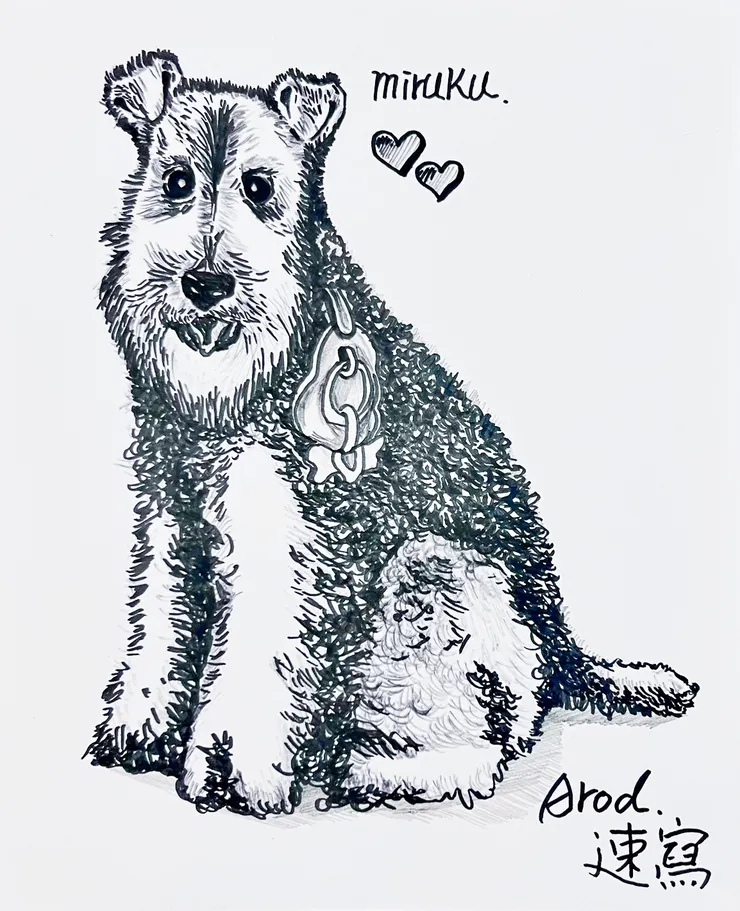 手繪速寫-miruku