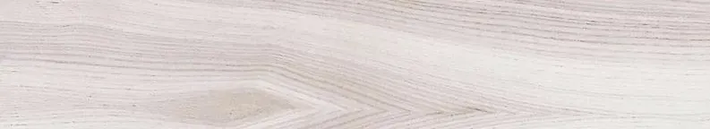 阿妮絲的第二人生