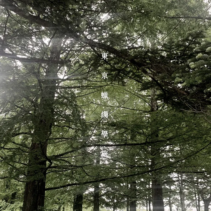 迷失在路上的時候,看到旁邊有一片林地,於是被吸引並走了進去