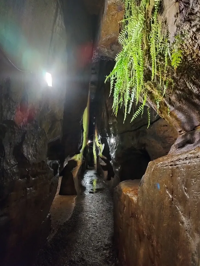 一線天狹窄通道（圖片截圖於網路）