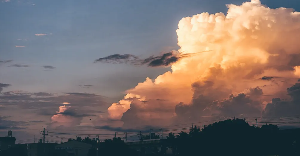 貧窮角落的社會觀察家