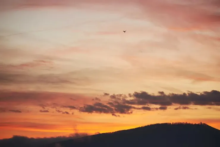 Photo by Wolfgang Hasselmann on Unsplash