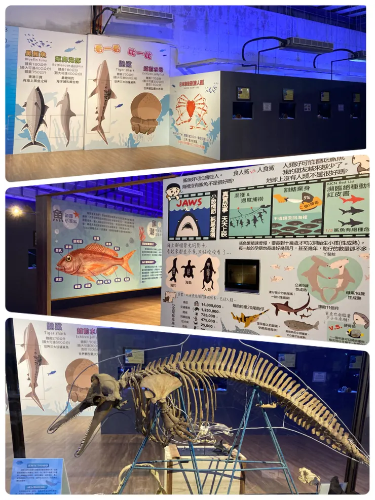 展示區的海洋生物種類很多元