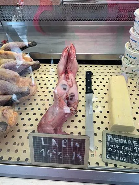 法國勃艮第酒鄉之行