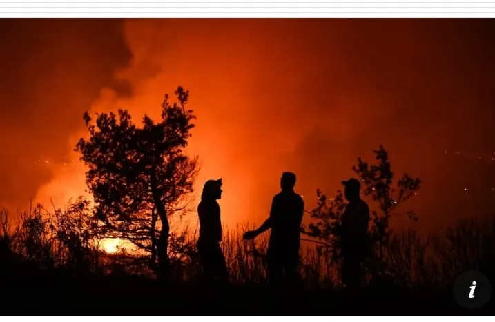 圖片來源：the Guardian