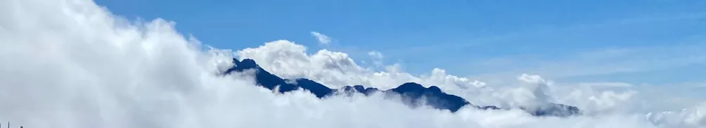 Jimmy and the Market的沙龍