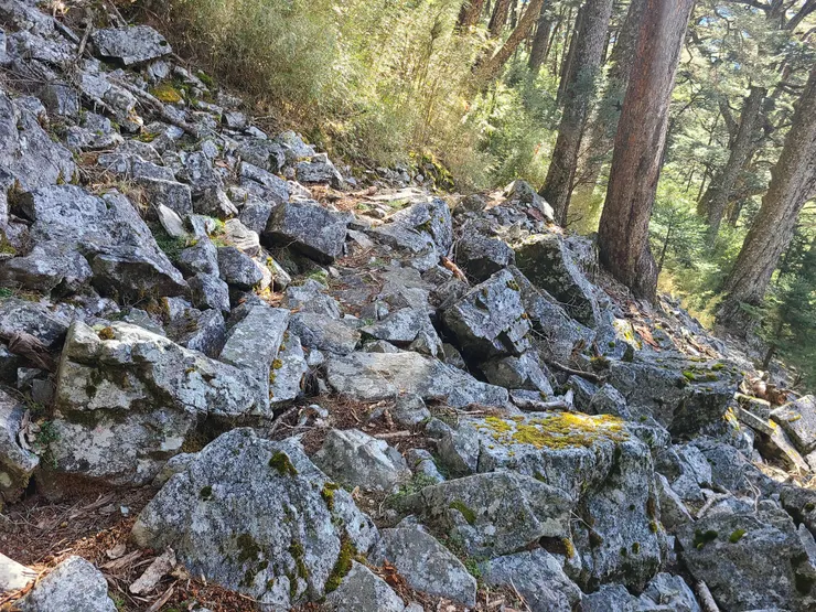 石瀑、樹林相接，通常都是一小段的腰繞路