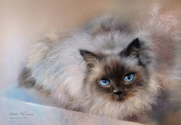 迷幻暹羅貓 (榮獲2021年 Camelback Paint My Pet 最佳白金獎,媒材:粉彩)