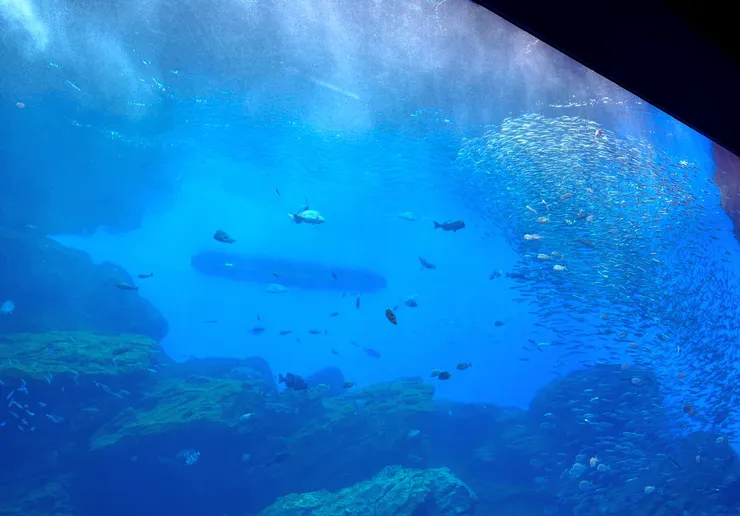 仙台水族館