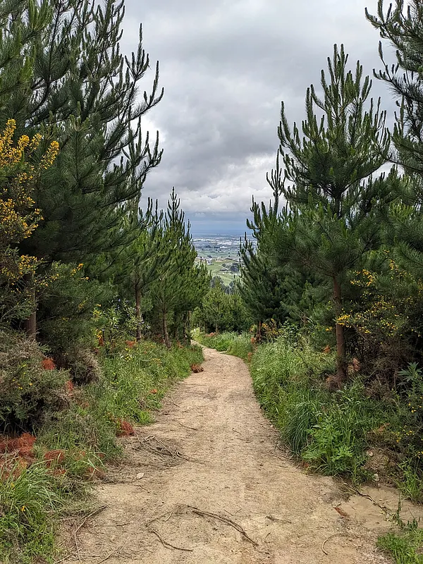 Adventure Park－Uphill walk