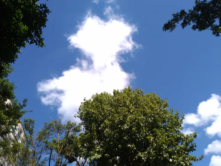 時光, 復刻古歷史的鐘錶聲--滴答滴答....