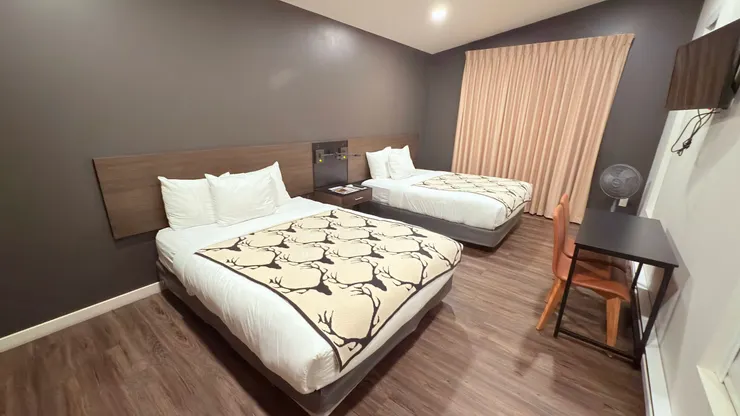 入住Terra Nova Cabins